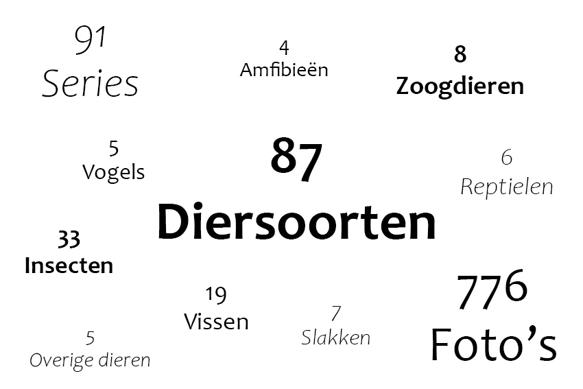 Wolk_nederlands20